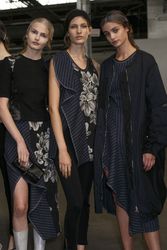 24337054_3.1PhillipLimSpring2016aneta_3.