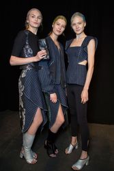 24337062_3.1PhillipLimSpring2016aneta_ch