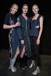 24337068_3.1PhillipLimSpring2016aneta_ch