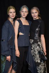 24337078_3.1PhillipLimSpring2016aneta_ch