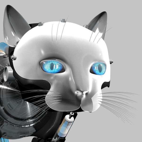 robot cat 12