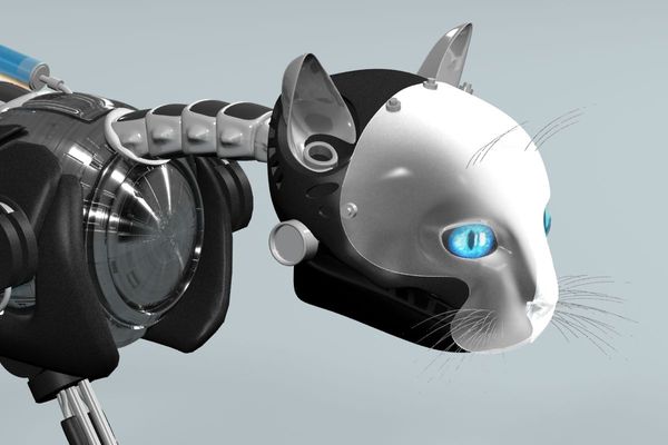 robot cat 10