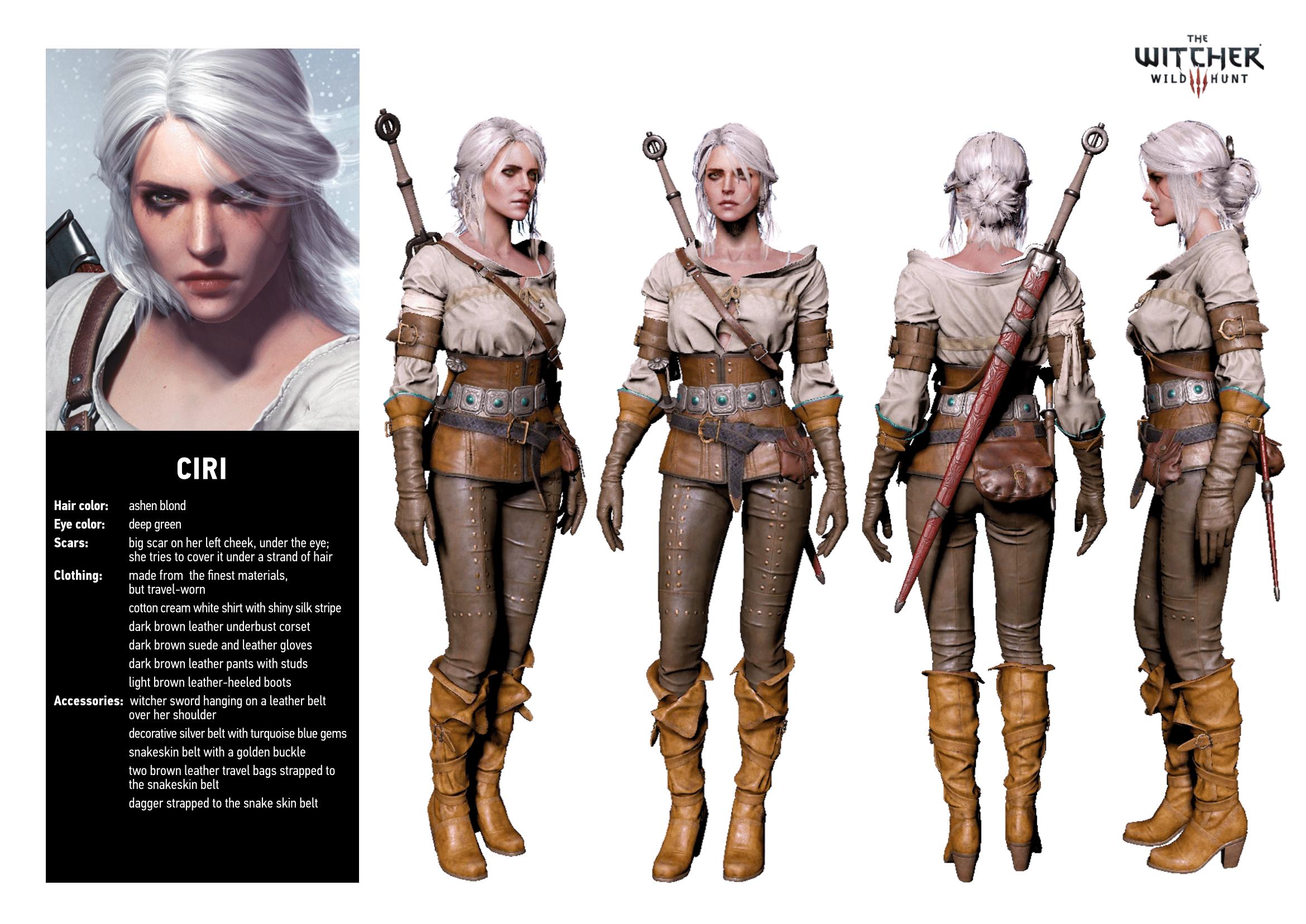 Ciri Witcher 3 The Wild Hunt Character Sheet